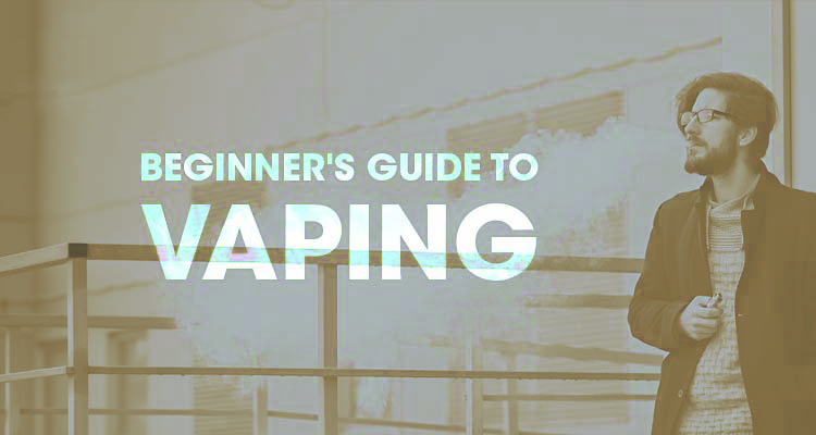 beginnersguide featured