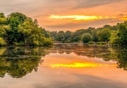 Epping Forest London