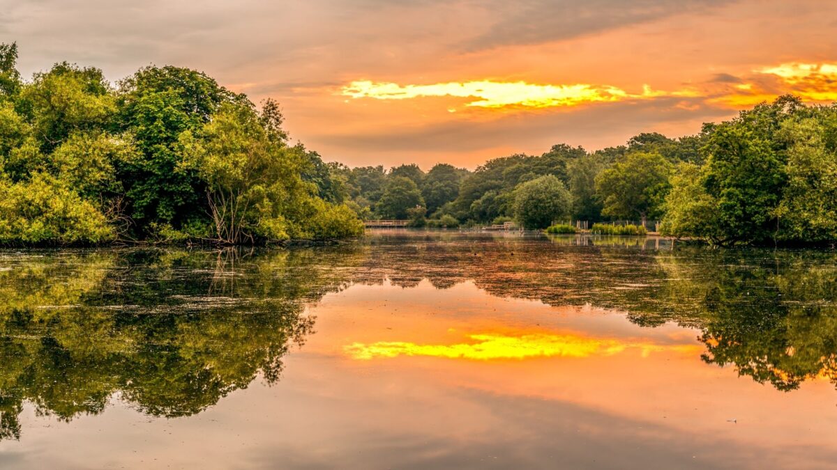 Epping Forest London