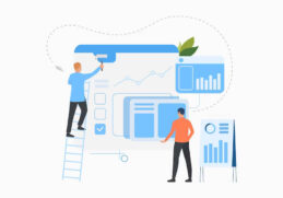 custom magento development services