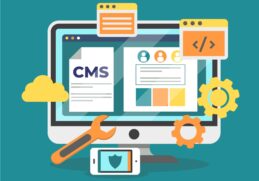 custom wordpress web development