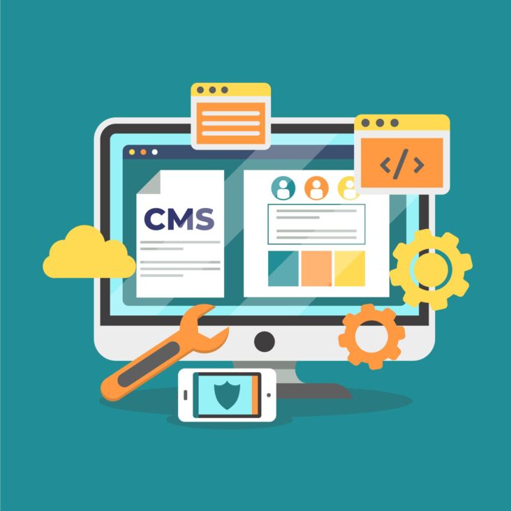 custom wordpress web development