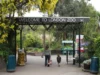 londonzoo