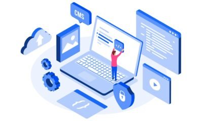 white label web design and seo