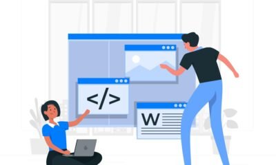 wordpress web development services