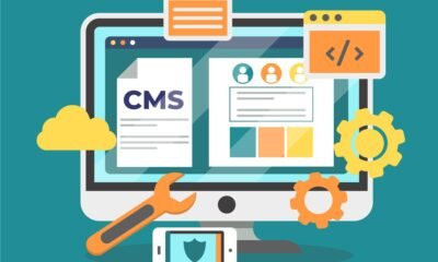custom wordpress web development